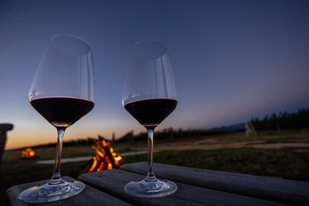 Taças Vinícola UVVA na vinha