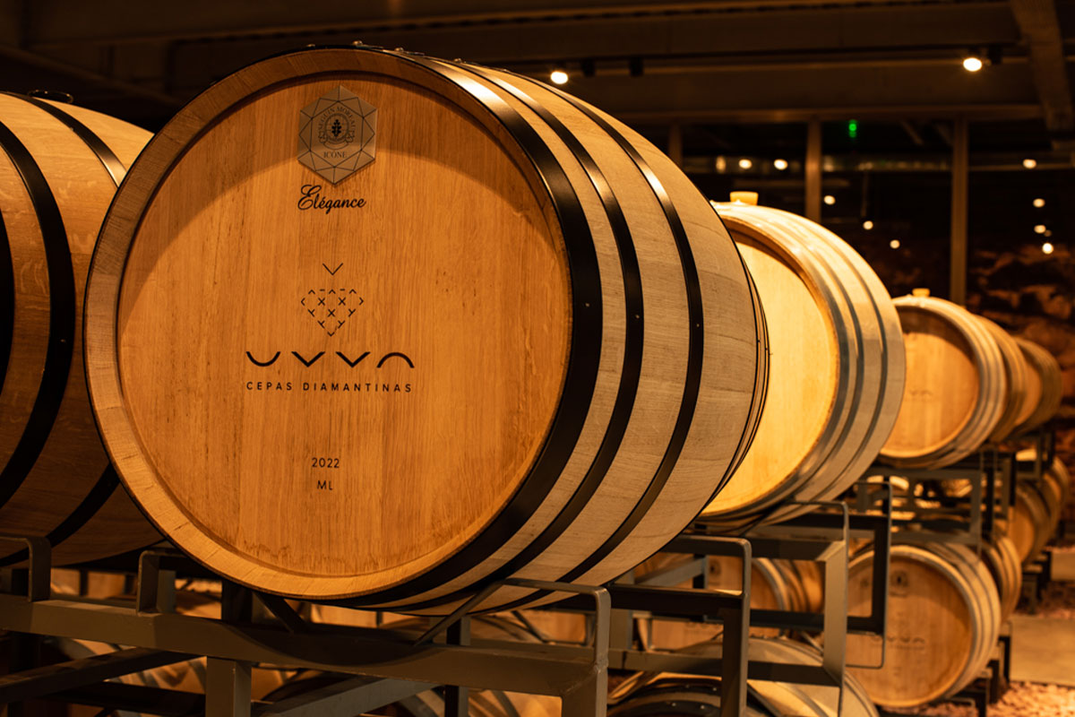 Saiba o que são os vinhos de guarda